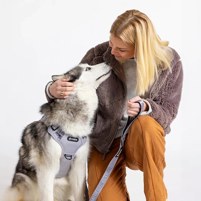 Fei & Eve Classic Dog Harness, MagEase Magnetic Buckle | 3-Point No-Pull Control, Dual Handle Support, 900D Nylon, Tactical Patch Panel, Heavy Duty, Large, Gray
