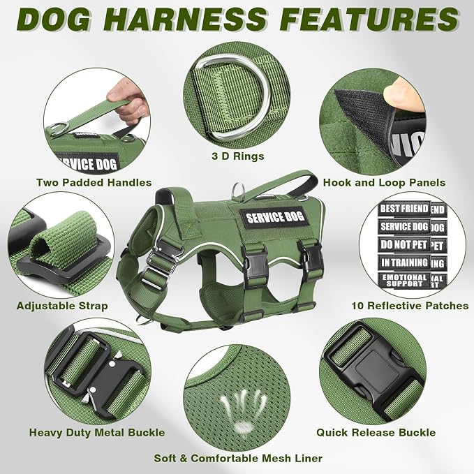Service Dog in Training Vest and Leash Set+10 Patches,Escape Proof | Heavy Duty Tactical Dog Harness with Metal Buckles for Medium Sized Dogs,No Pull Front Back Clips,for Training Hiking,Green M