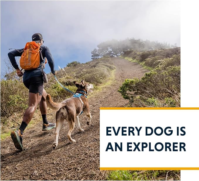 Ruffwear, Hi & Light, Everyday Lightweight Dog Harness, Trail Running, Walking, Hiking, All-Day Wear, Sage Green, Small