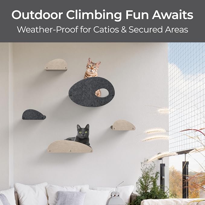Accessory ADD-ON Long Shelf Facade Covers Compatible with Cat Wall Shelves by Pryde Pets - 100% Sustainable PET Felt - Climber Sold Seperately - Cats Perch Privacy and Safety Bumpers (Charcoal)