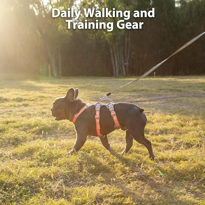 Escape Proof Dog Harness, Escape Artist Harness, Fully Reflective Harness with Padded Handle, Breathable, Durable, Adjustable Vest for Small Dogs Walking, Training, and Running Gear (Orange,S)