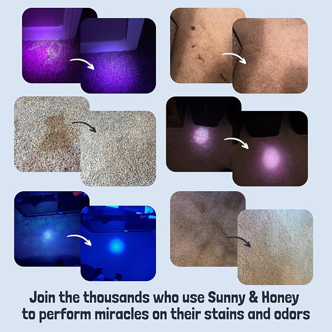 Sunny & Honey Pet Stain and Odor Remover for Carpets, 1 Gallon Spice | USA Made - Enzyme Cleaner for Dog Urine & Poop - Eliminates Set In Stains - Color Safe - For Rugs, Furniture & Car Seats