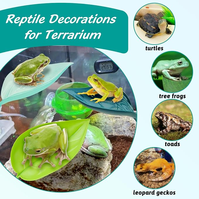 3 Pack Plastic Frog Habitat Platform with Suction Cups Reptile Decorations for Terrarium Dwarf Frogs Tank Accessories Decor Turtle Basking Platforms for Amphibian (Green)