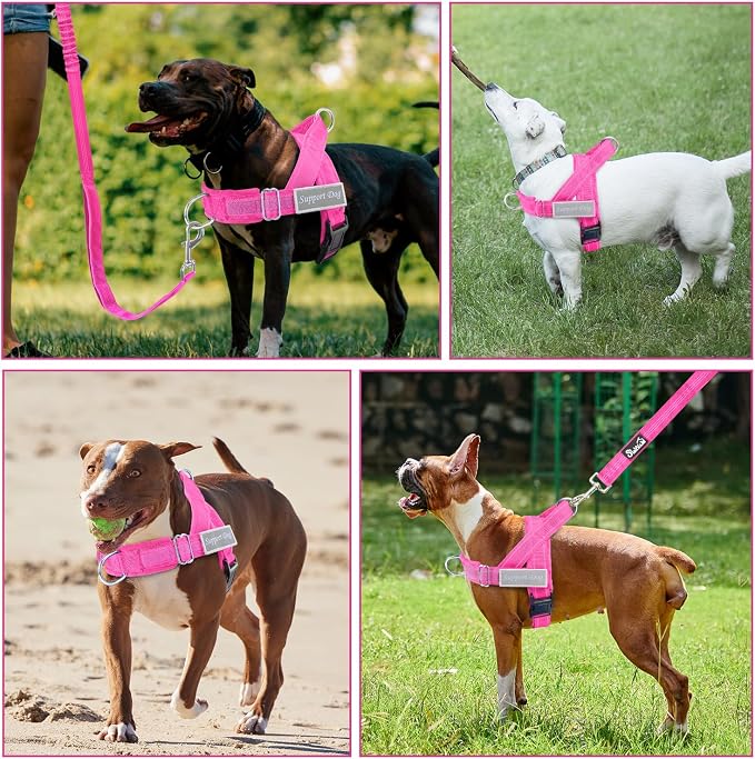 SlowTon No Pull Dog Harness with Front Clip - Heavy Duty, Soft Padded | Neck & Chest Adjustable, Tactical Pet Vest and Leash Set for Large Medium Sized Dogs, for Easy Walk & Training, Fuchsia L