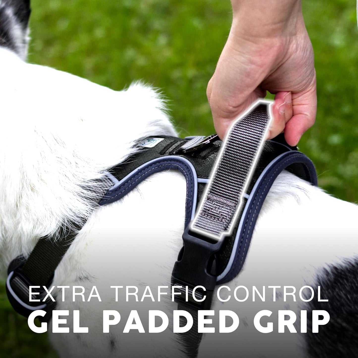 Embark Adventure Dog Harness, Reflective Trim No Pull Dog Harnesses for Small Sized Dogs - Military Grade Nylon, Front Clip with Gel Lined Handle. Soft & Padded Puppy Harnesses.