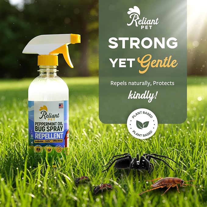 Reliant Pet - Peppermint Oil Spray for Bugs - 16oz - Insect and Pest Control Spray - Bug Spray That's Safe, Reliable, Effective - Made in USA - Ant, Spider, and Roach Spray Indoor
