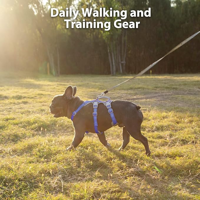 Escape Proof Harness, No Slip Dog Harness Escape Proof,Fully Reflective Harness with Handle, Breathable,Durable, Adjustable Vest for Medium Dogs Walking,Training,and Running Gear(Vista Blue,M)