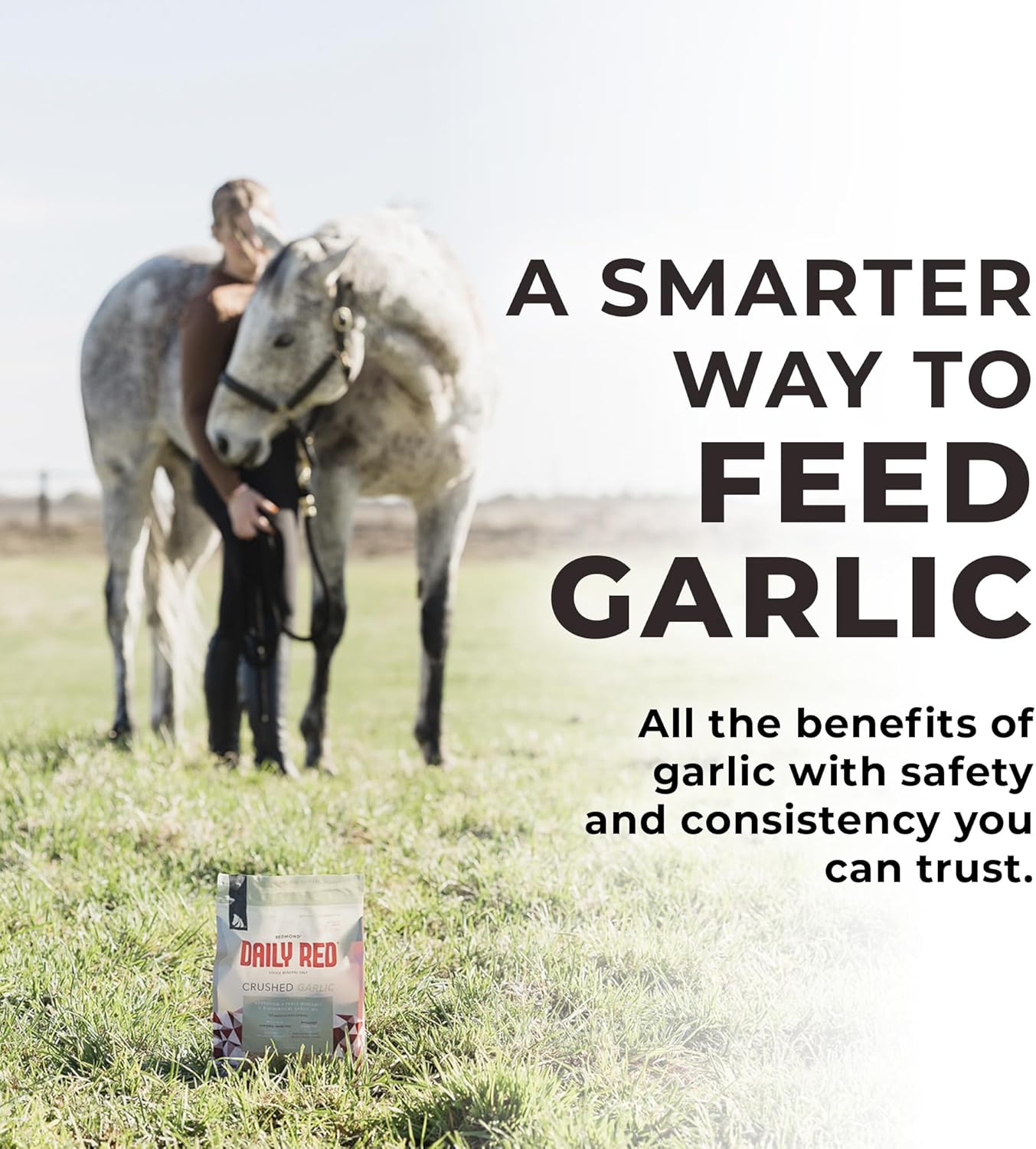 Redmond Daily Red Crushed Garlic | Horse Minerals & Vitamins Supplement | Garlic for Horses