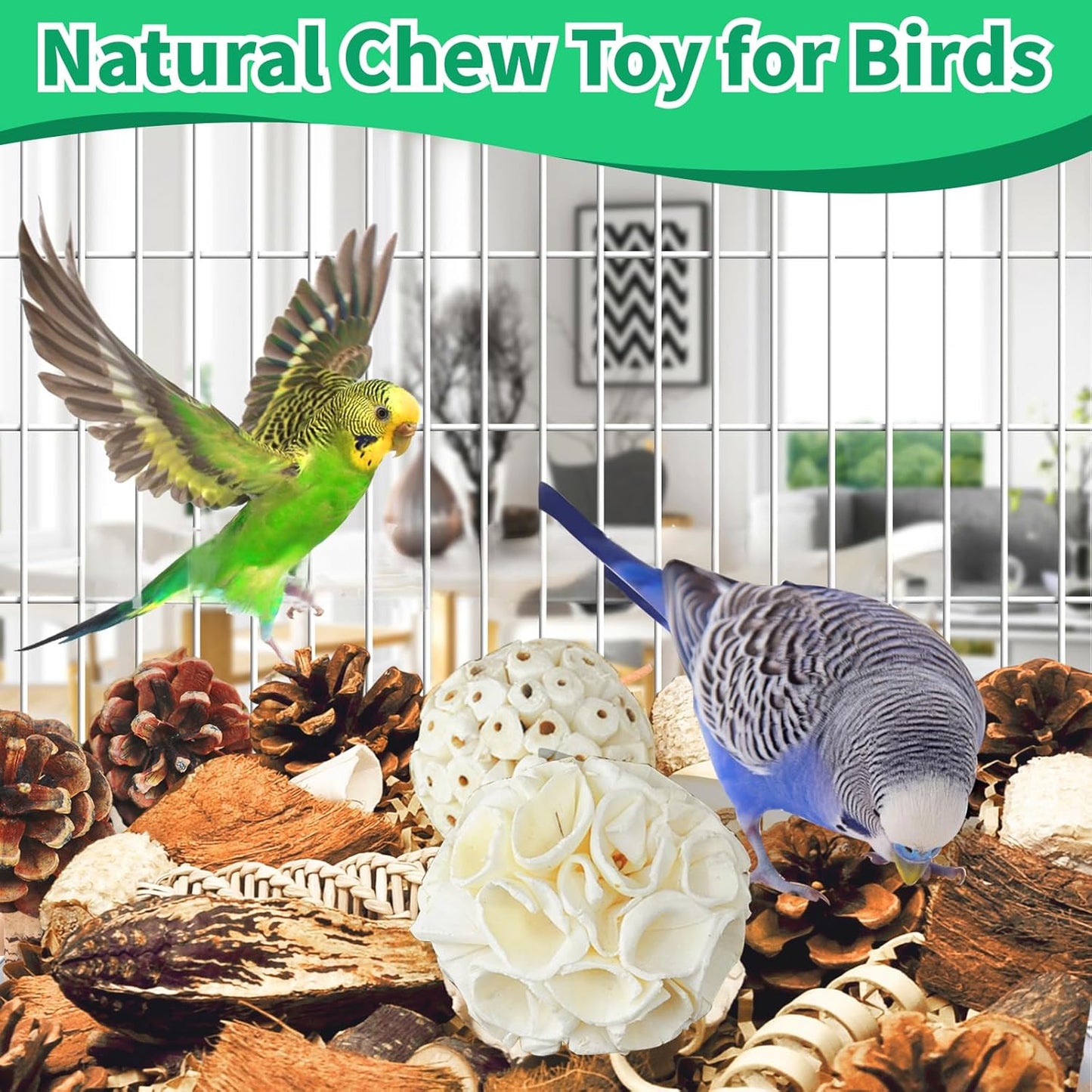 Natural Bird Foraging & Parrot Shredding Toys Box - Interactive Chewing and Foraging Toys for Parakeets, Cockatiels, Conures, Love Birds, and Small to Medium Birds