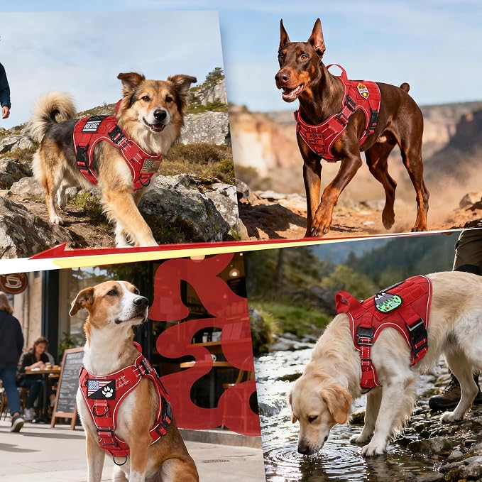 rabbitgoo Tactical Dog Harness X-Large, Heavy Duty Military No Pull Vest | Sturdy Metal Buckles, 5 Adjustments, Molle System, Powerful Pullers for Training, Hunting, Outdoor, Red Reflex, X-Large