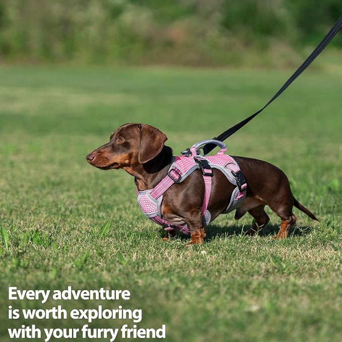 Escape Proof Dog Harness, Dachshund Harness, Reflective Dog Harness with Handle, Durable,Adjustable Vest for Small Medium Large Dogs Walking, Training, and Running Gear (Pink,M)