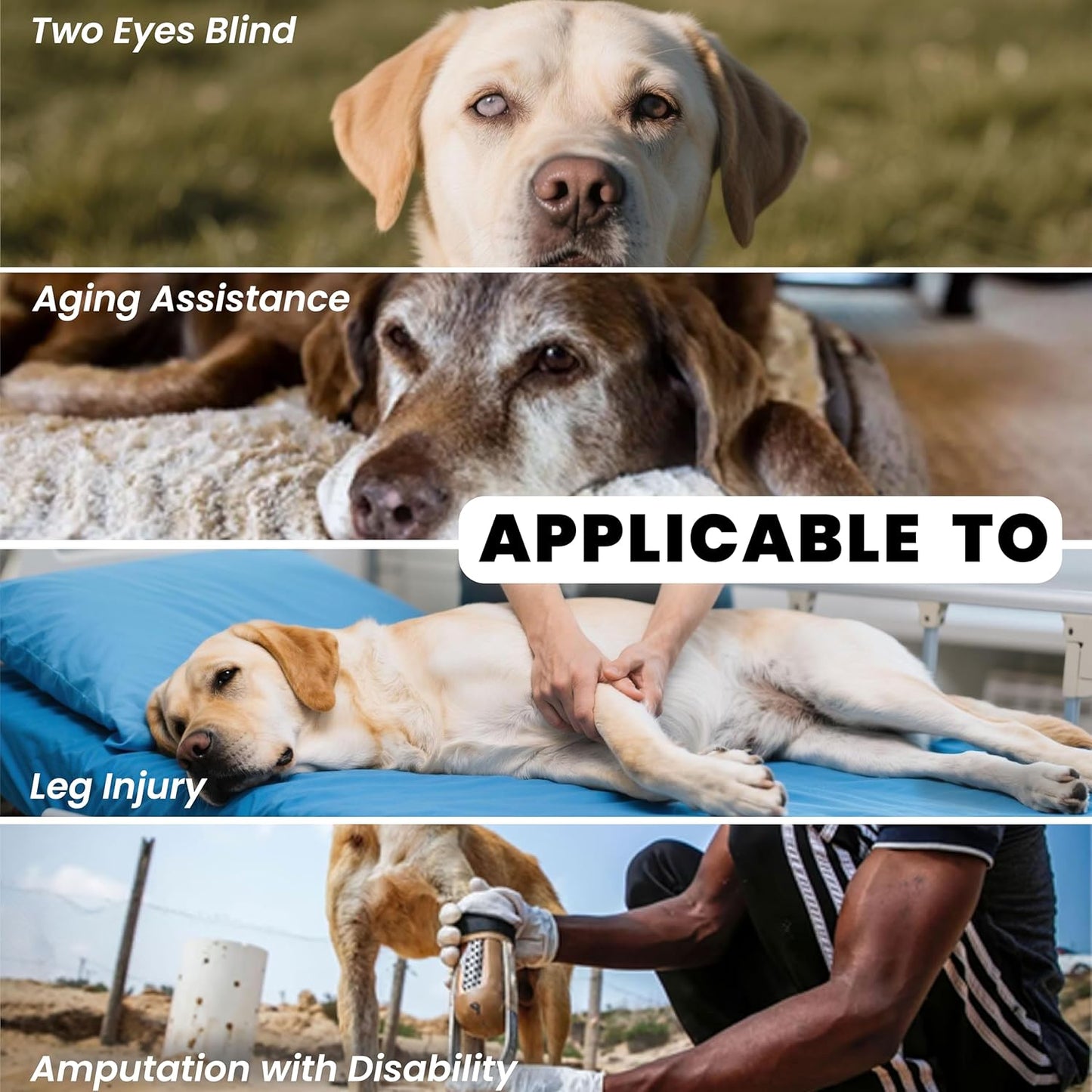 Dog Lift Harness Backpack Carrier for Large Dogs, Full Body Sling with Handle, Dog Harness for Joint Injuries, Arthritis, Ideal for Stairs, Elderly Dogs (Black XXX-Large 66-83 LBS)