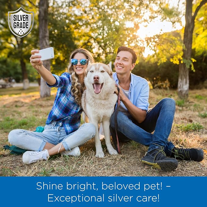 SILVER GRADE Wound Spray for Pets – Colloidal Silver Wound Care for Dogs & Cats – Helps with Skin Irritation, Hot Spots, Rashes, Scratching, Itch, Bites & Burns – Use a Dog Cone – 4 oz