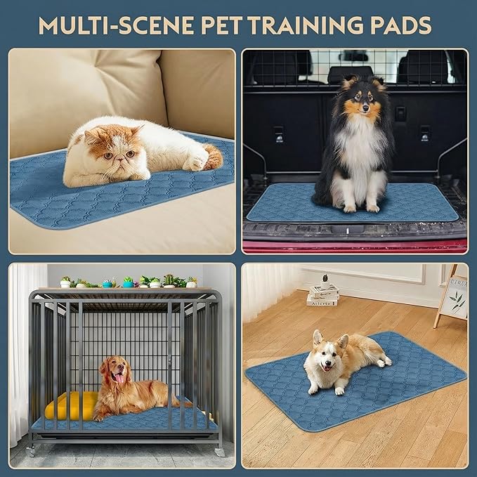 Washable Pee Pads for Dogs - 2 Pack Reusable Pee Pads,Waterproof Puppy Pads,Pet Training Pads,Super Absorbent with Dog Paw Shape Non-Slip Backing (Blue, 36" X 41" - 2 Pack)