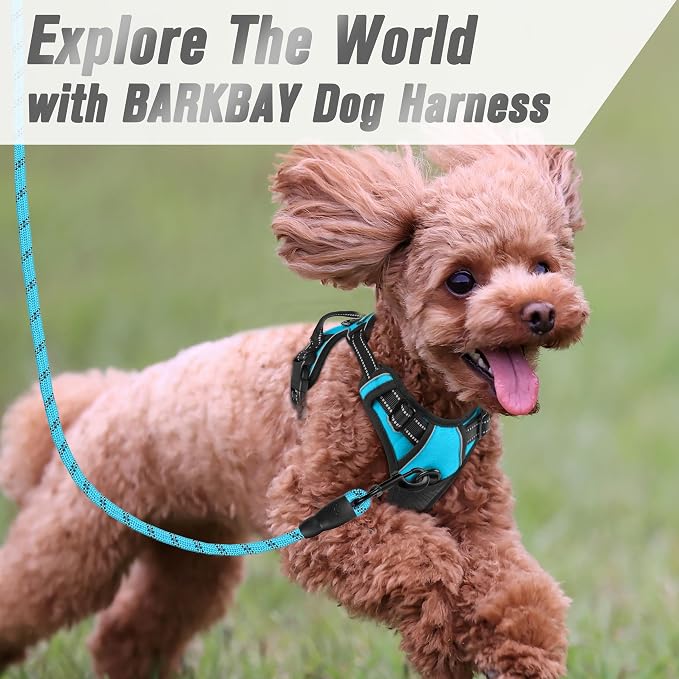 BARKBAY Dog Harness No Pull for Small Sized Dog Front Back Clips,Dog Vest | Soft Padded No Choke With Handle,Easy On&Off,Adjustable Reflective For Walking Training Running(Blue,XS)