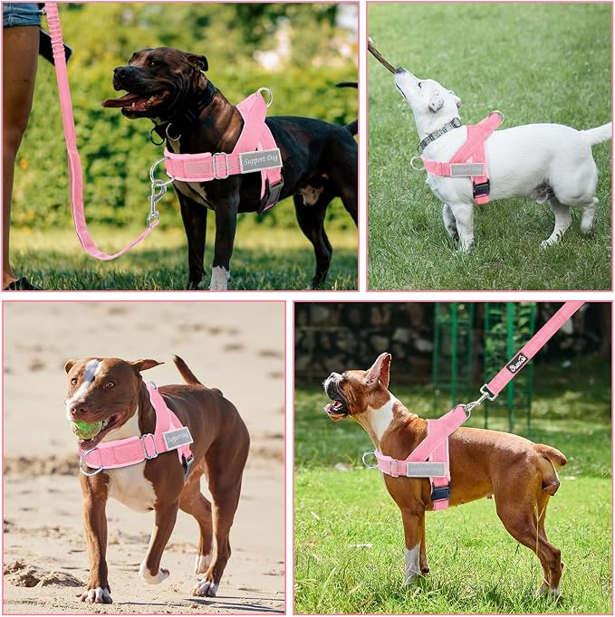 SlowTon No Pull Dog Harness with Front Clip - Heavy Duty, Soft Padded | Neck & Chest Adjustable, Tactical Pet Vest and Leash Set for Large Medium Sized Dogs, for Easy Walk & Training, Pink M