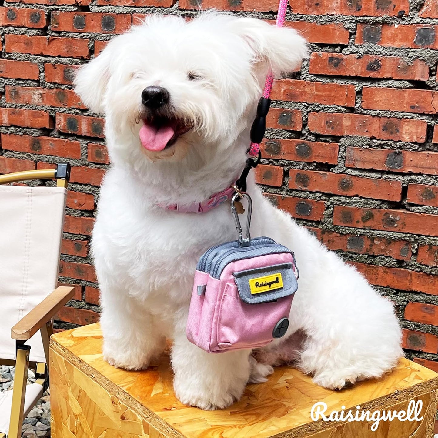 Dog Treat Pouch for Pet Walking and Training with Clicker Poop Bags and Three Bags Design Small Fanny Zipper Pack Holder for Puppy Snack Dispenser Kit for Leash and Outdoor Use (Pink)