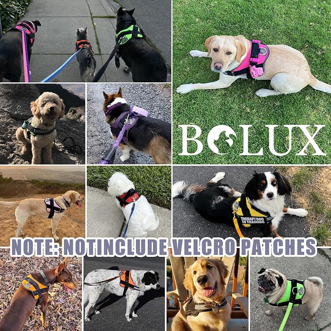 Dog Harness, No-Pull Reflective Dog Vest, Breathable Adjustable Pet Harness with Handle for Outdoor Walking - No More Pulling, Tugging or Choking
