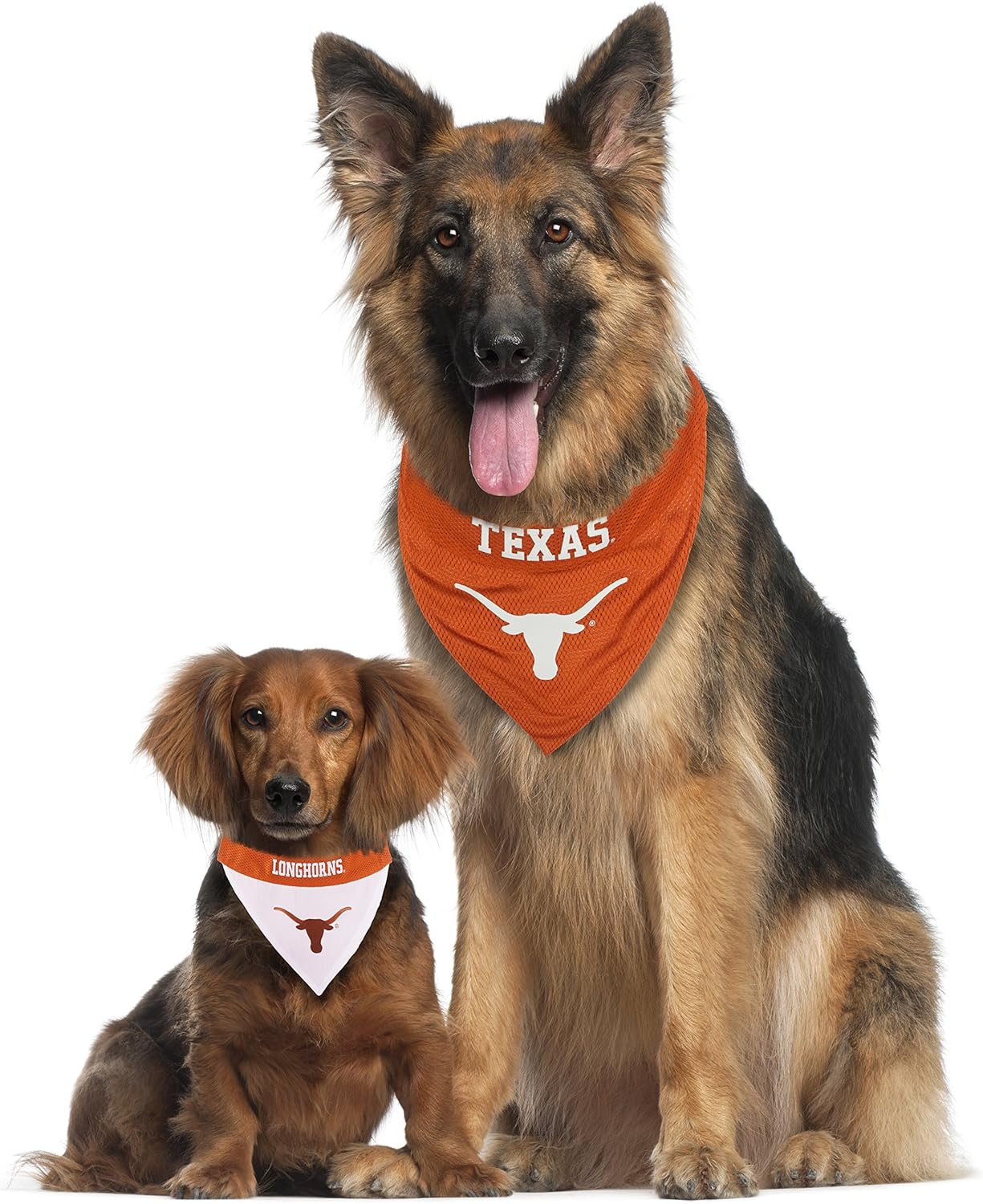 Pets First Collegiate Pet Accessories, Reversible Bandana, Texas Longhorns, Small/Medium