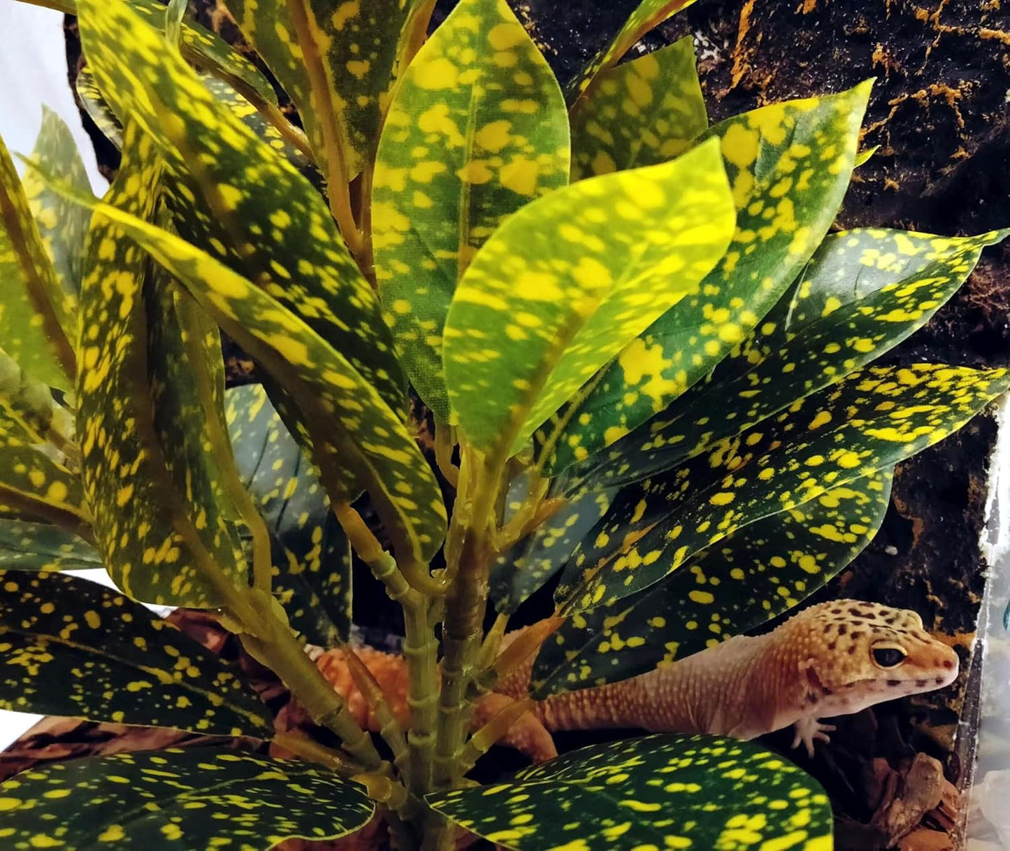 Reptile Plants Terrarium Artificial Leaves Reptile Tank Decorations for Bearded Dragon Lizard Snake Geckos Chameleon Amphibian Habitat Terrarium Decor