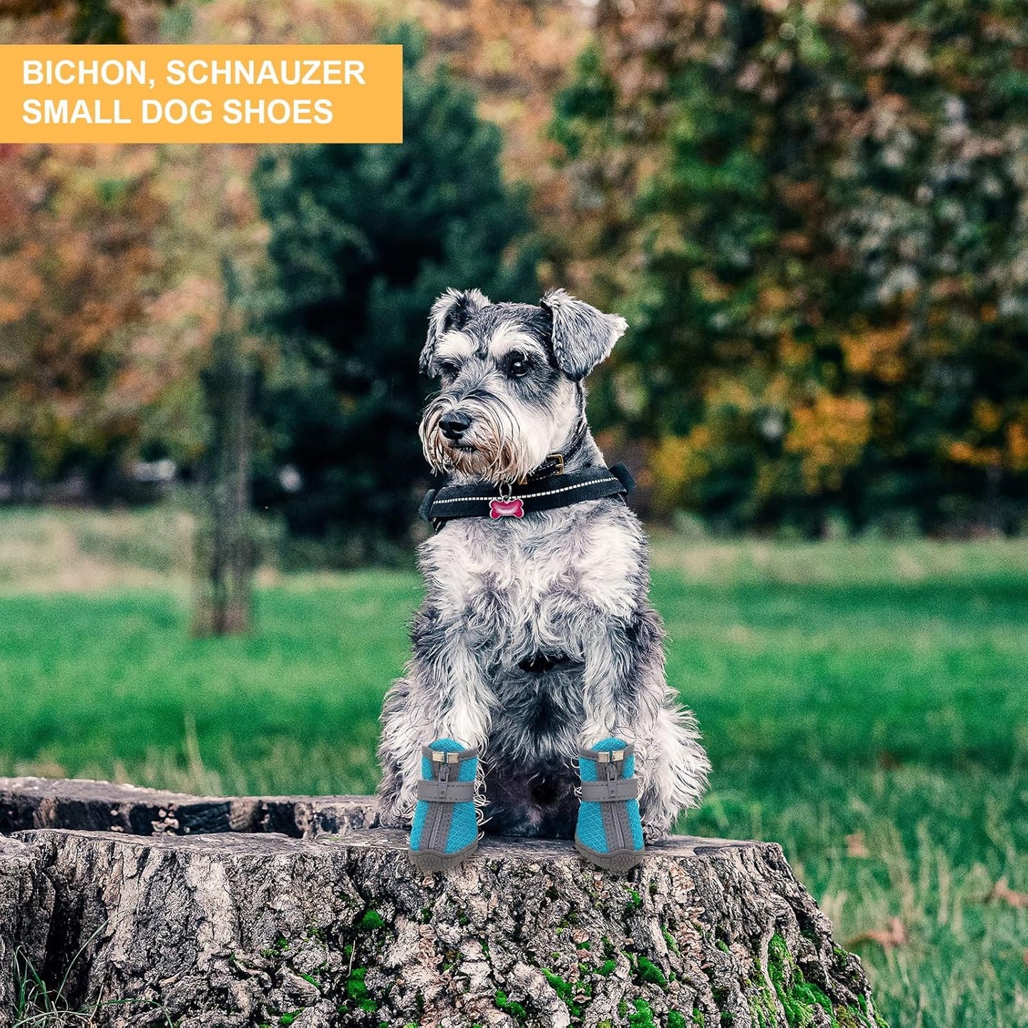 Dog Shoes for Small Dogs, Puppy Dog Boots & Paw Protector for Winter Snow Day, Summer Hot Pavement, Waterproof in Rain Weather, Ourdoor Hiking, Indoor Hardfloors with Anti Slip Sole 4PCS/Set