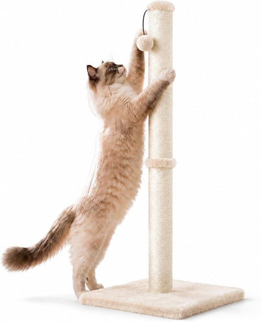 Protect Your Furniture with Style: The Ultimate Heavy-Duty Scratching Post for Large Cats