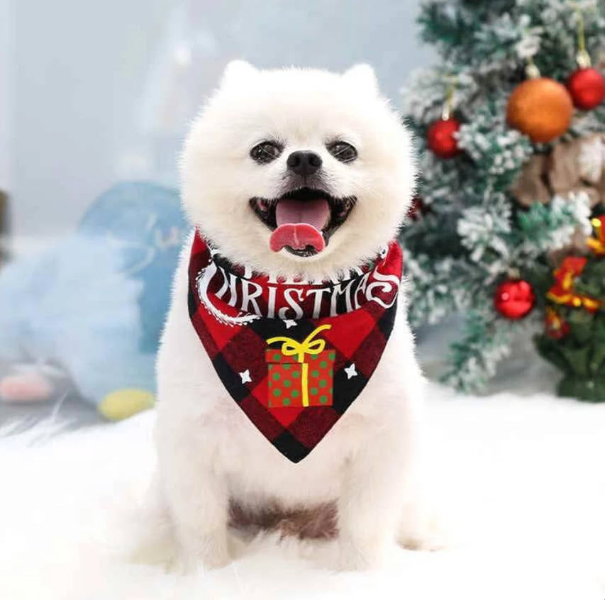 Deck the Paws! The Ultimate Holiday Gifts for Dogs, Cats & Puppy Joy!