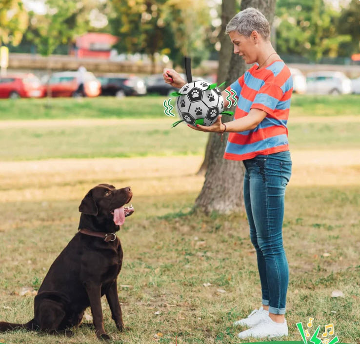 The Ultimate Playtime Upgrade: Why the Dog Soccer Ball is a Huge Benefit for Your Pup
