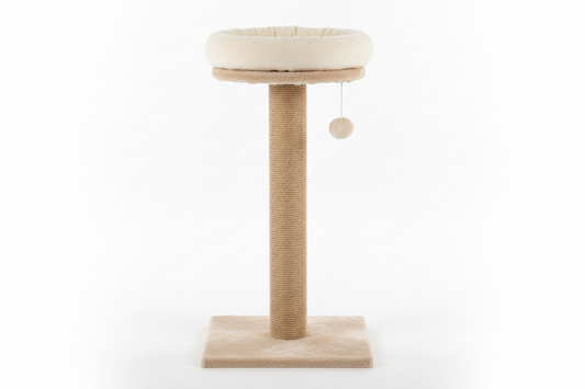 Why Every Indoor Cat Needs a Sturdy Scratching Post: Comfort, Enrichment & Furniture Protection