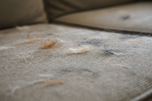 How Pet Hair Removal Tools Make Life Easier for Pet Owners