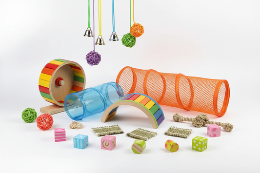 Small Animal Enrichment: Beyond the Basics