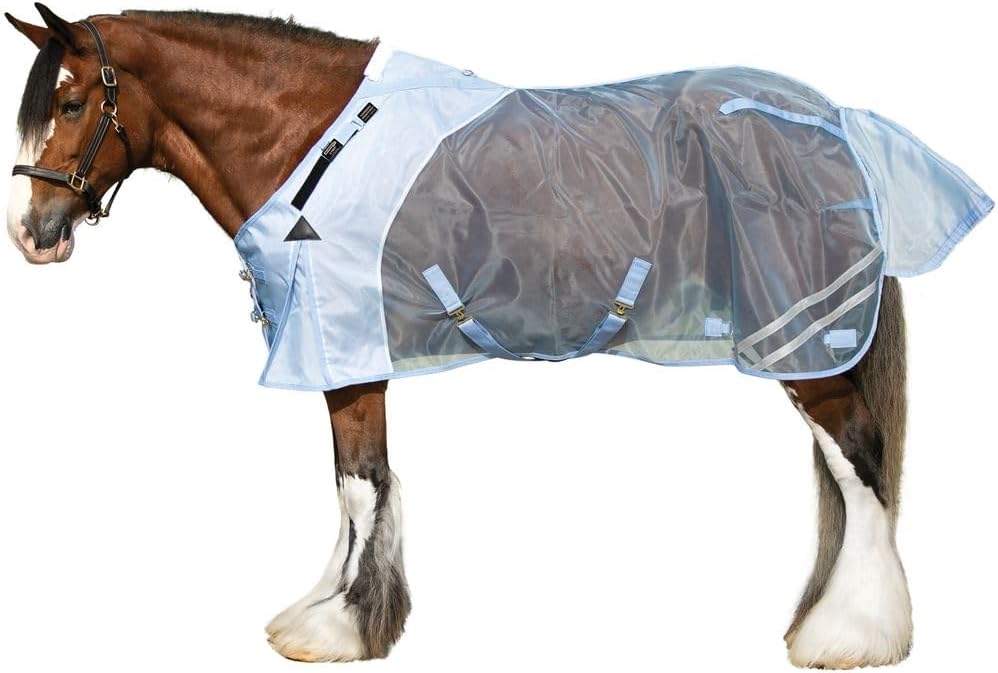 Horse Blankets & Sheets