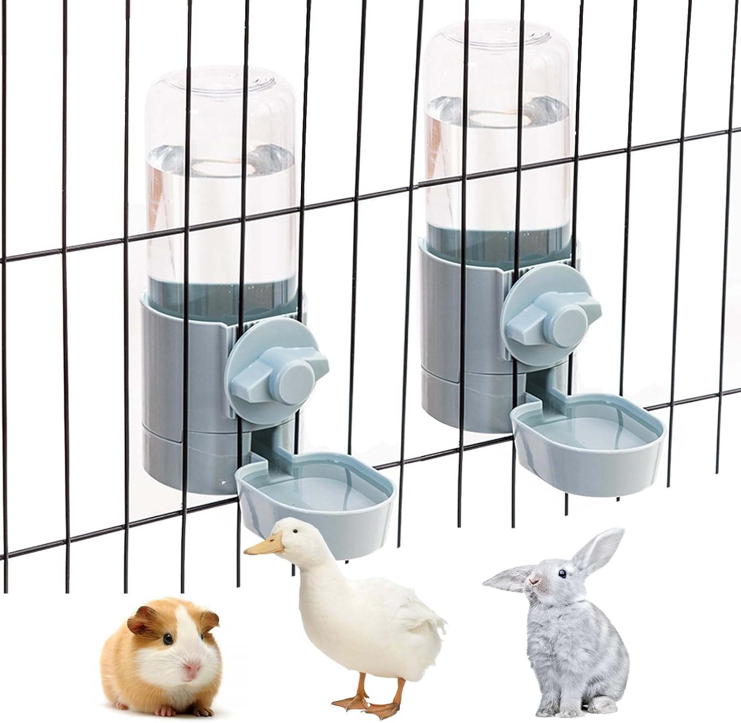 Feeding & Watering Supplies