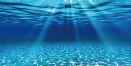 Natural Undersea Aquarium Background, Underwater Ocean Sunlight Fish Tank Background 48X24IN with 8 EVA Double-Sided Tape