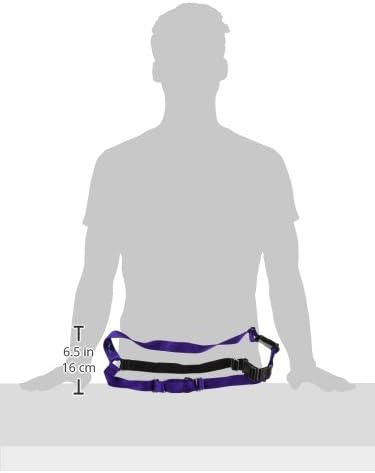 PetSafe Easy Walk Harness, No Pull Dog Harness, Deep Purple, Large | Patented Martingale Loop Gives Gradual Shoulder Pressure to Stop Pulling, Front-Chest Leash Clip Prevents Gagging