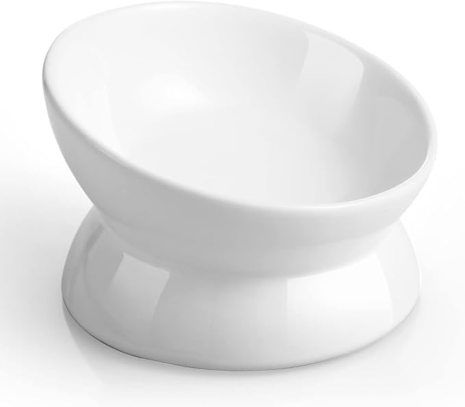 LoeJan Elevated Cat Food Bowl, 5 Oz Ceramic Raised and Tilted Water Bowl, Anti Vomiting and Protect Pets' Spines Dishes for Small Dog, Fat Faced Cat, Kitten (White, 10 OZ)