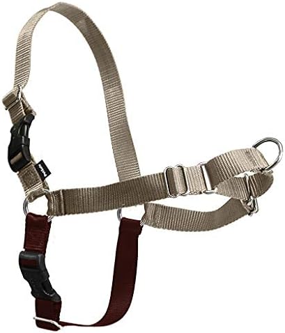 PetSafe Easy Walk Harness, No Pull Dog Harness, Fawn, Small | Patented Martingale Loop Gives Gradual Shoulder Pressure to Stop Pulling, Front-Chest Leash Clip Prevents Gagging