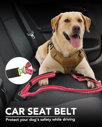 Joytale Tactical Bungee Dog Leash, Shock Absorbing No Pull, Hot Pink | For Large Dogs That Pull, 2 Padded Handles for Control, Car Seatbelt Clip, Reflective for Night Safety, Metal Frog Clip