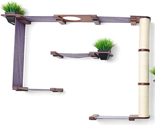 CatastrophiCreations Mini Garden - Multiple-Level Cat Hammock & Climbing Activity Center Wall-Mounted Cat Tree Shelves English Chestnut/Charcoal