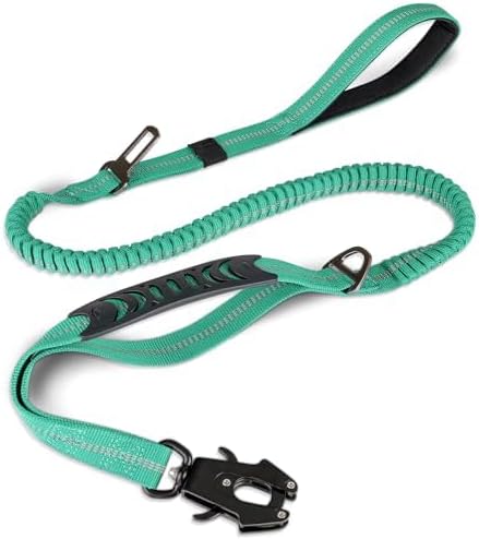 Joytale Tactical Bungee Dog Leash, Shock Absorbing No Pull, Teal | for Large Dogs That Pull, 2 Padded Handles for Control, Car Seatbelt Clip, Reflective for Night Safety, Metal Frog Clip