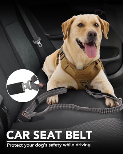 Joytale Tactical Bungee Dog Leash, Shock Absorbing No Pull, Gray | for Large Dogs That Pull, 2 Padded Handles for Control, Car Seatbelt Clip, Reflective for Night Safety, Metal Frog Clip