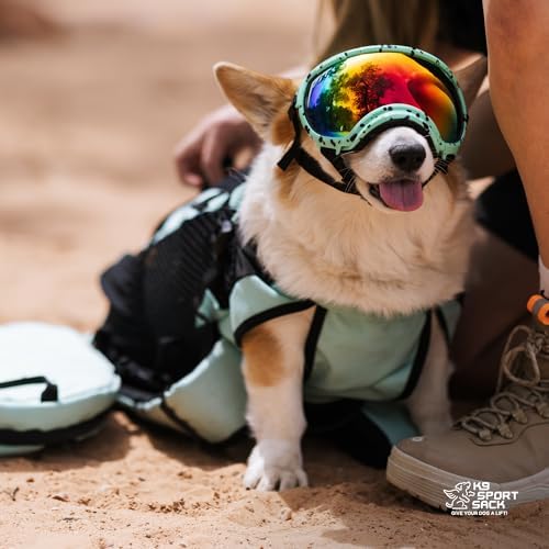 K9 Sport Sack Plus 2 - Small, Jet Black - Ideal for Dogs 13-16” Long - Adjustable, Backpack-Style Carrier with Multi-Functional Storage Pack, Thick Shoulder Straps & Padded Back Panel