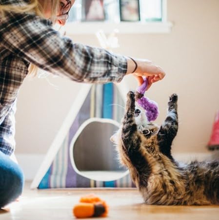 P.L.A.Y. Cute Cat Toys - Feline Frenzy Animal Critter Themed Catnip Filled Toy, Great for Adult Cats and Kittens - Machine Washable, Recycled Materials, Crinkles, Bungees (Wiggly Wormies, Set of 2)