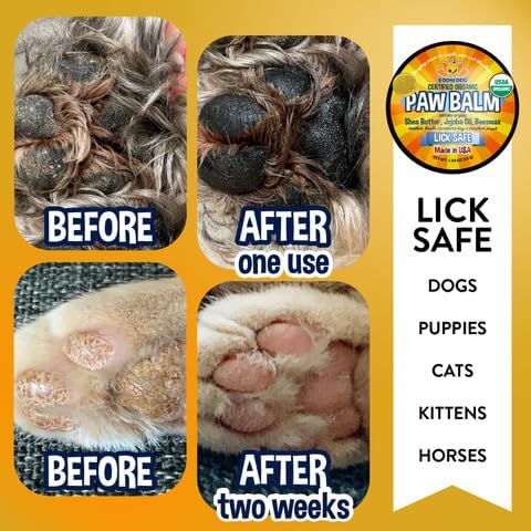 Bodhi Dog Paw Balm - Lick Safe - USDA Organic Paw Butter - Natural Paw Moisturizer Heals Dry, Cracked Paw Pads - Winter Protection - Pet Paw Balm for Dogs & Cats - Better than Paw Cream, Paw Wax (2oz)