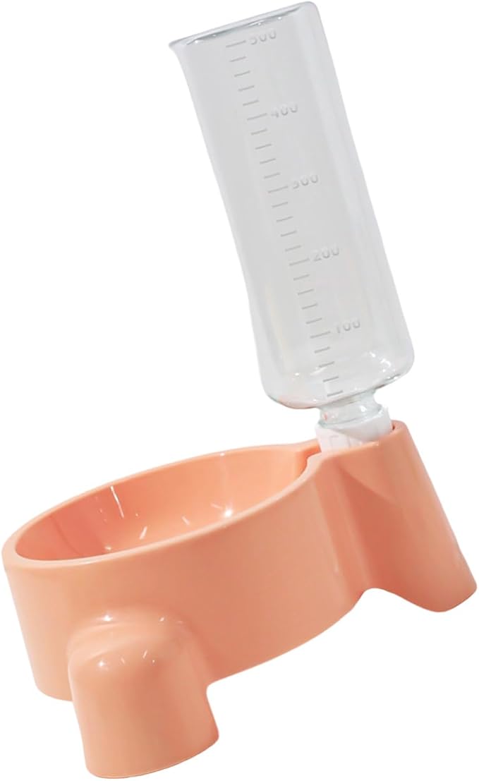 Dog Feeding Station Leak Water Fountains Detachable Bottle Anti Slip Base Design Stainless Steel Bowl with Water and Food