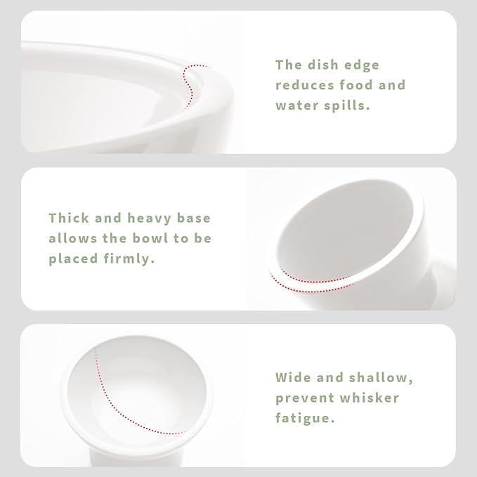 CEEFU 2 Elevated Ceramic Cat Bowls Extra Wide for Food & Water – Whisker Fatigue Shallow Food Dish, Lead & Cadmium-Free, Raised Height for Cats and Dogs, White
