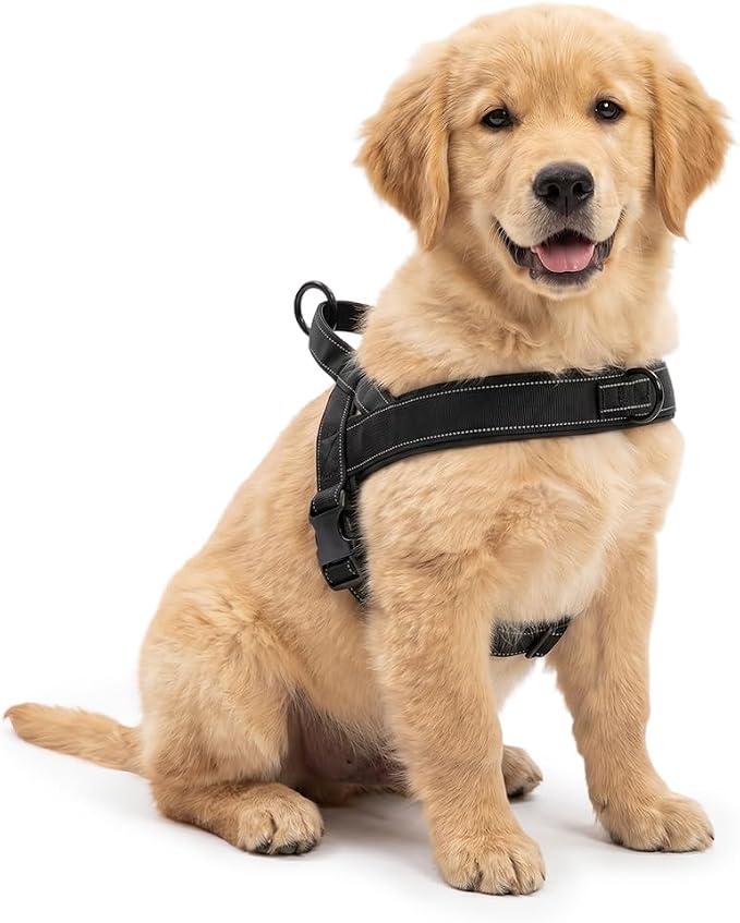 No-Pull Dog Harness with Handle, Adjustable Reflective Pet Vest Tactical Harness for Small Medium Large Dogs Walking Training, Front Clip, Escape Proof & Heavy Duty D-Ring (Black, S)