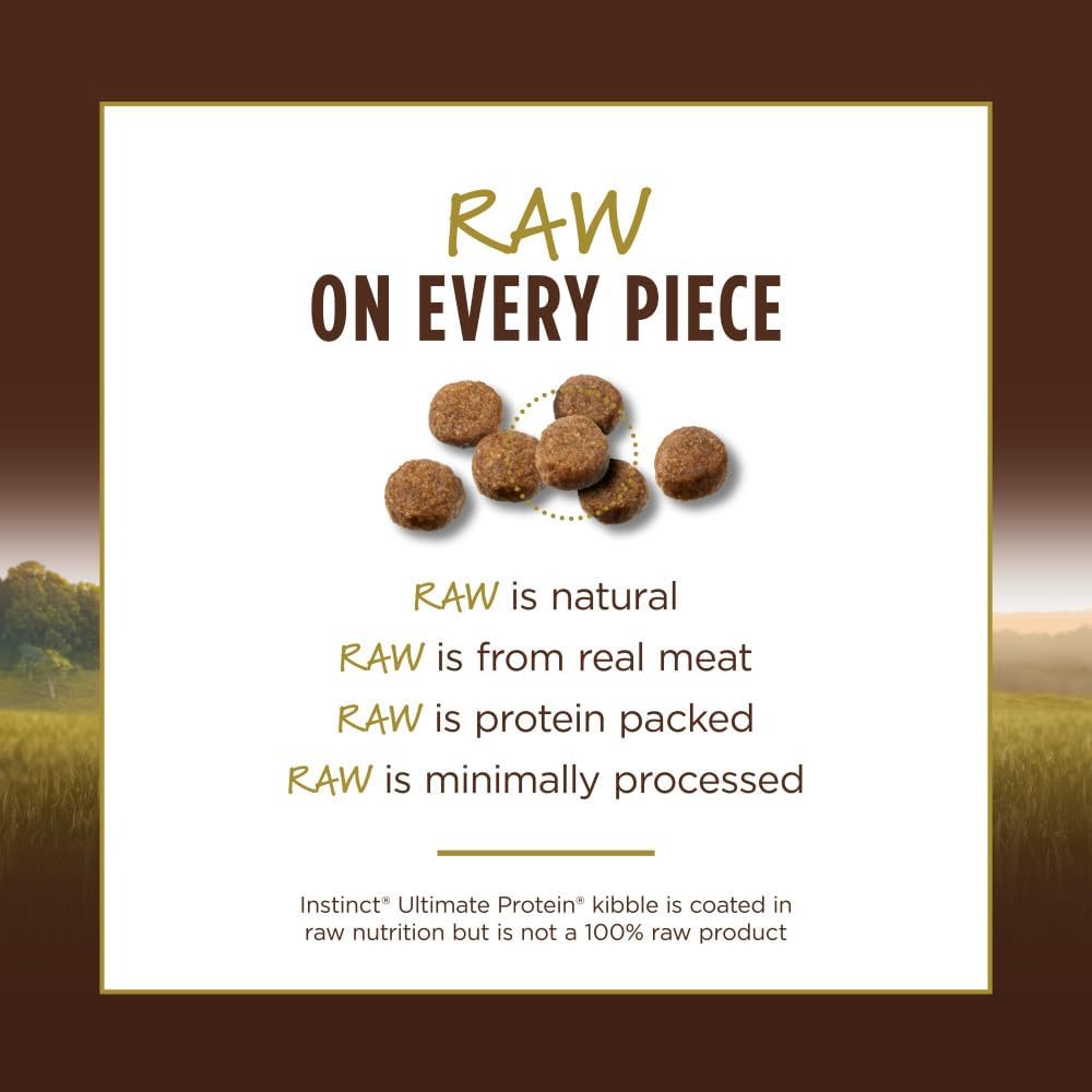 Instinct Ultimate Protein Grain Free Cage Free Chicken Recipe Natural Dry Cat Food, 10 lb. Bag