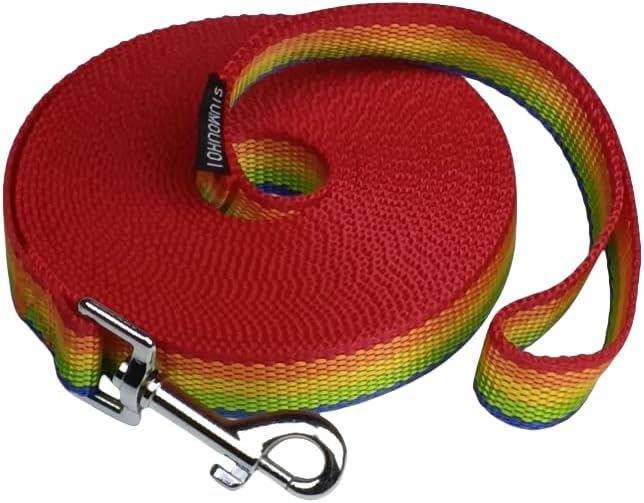 Dog/Puppy Obedience Recall Training Agility Lead - 15ft 20ft 30ft 40ft 50ft Training Leash - Great for Play, Camping, or Backyard (Rainbow, 40 Feet)