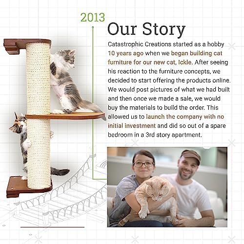 CatastrophiCreations Deluxe Cat Fort Wall Mounted Lounge, Climb and Play Furniture Cat Tree Shelves - Natural/Charcoal Gray, One Size